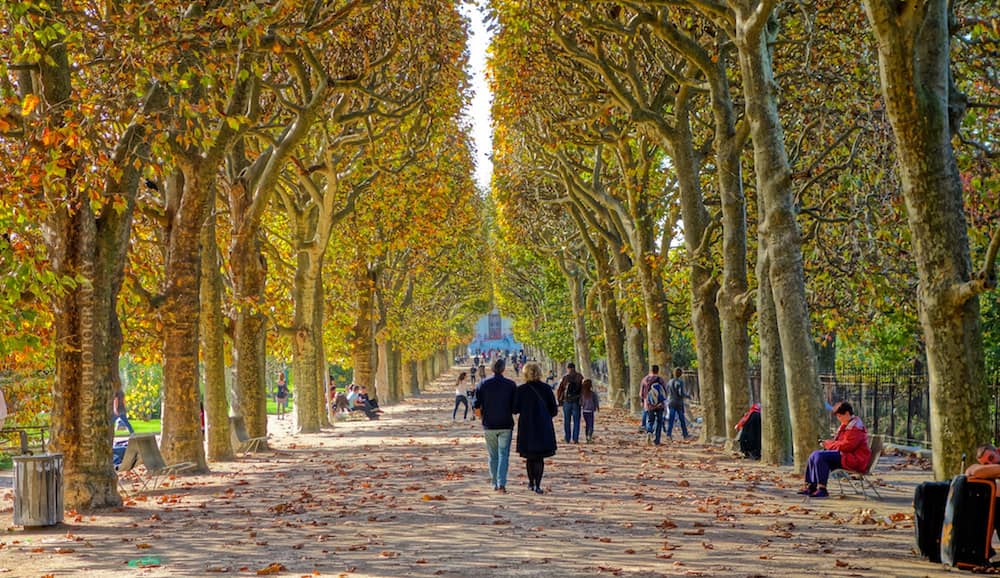Best Parks to Go For a Run in Paris