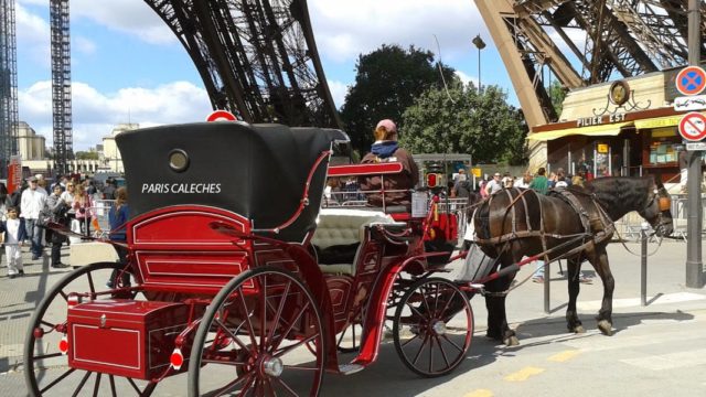 Why you Should Ride in a Horse-Drawn Carriage in Paris