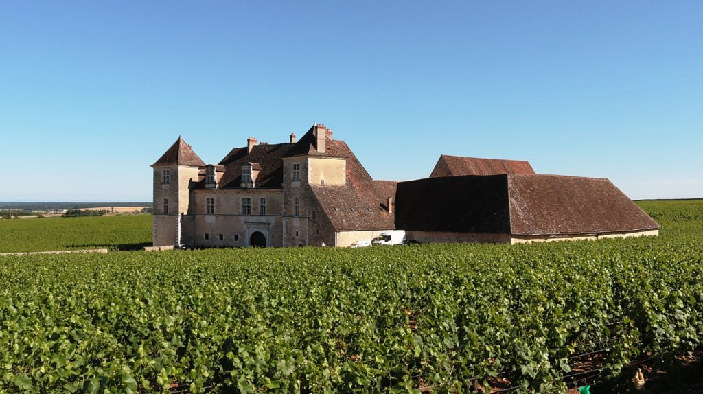 Burgandy Wine Region