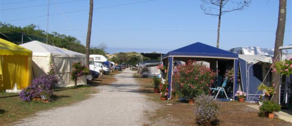 Camping Le Pin Sec france