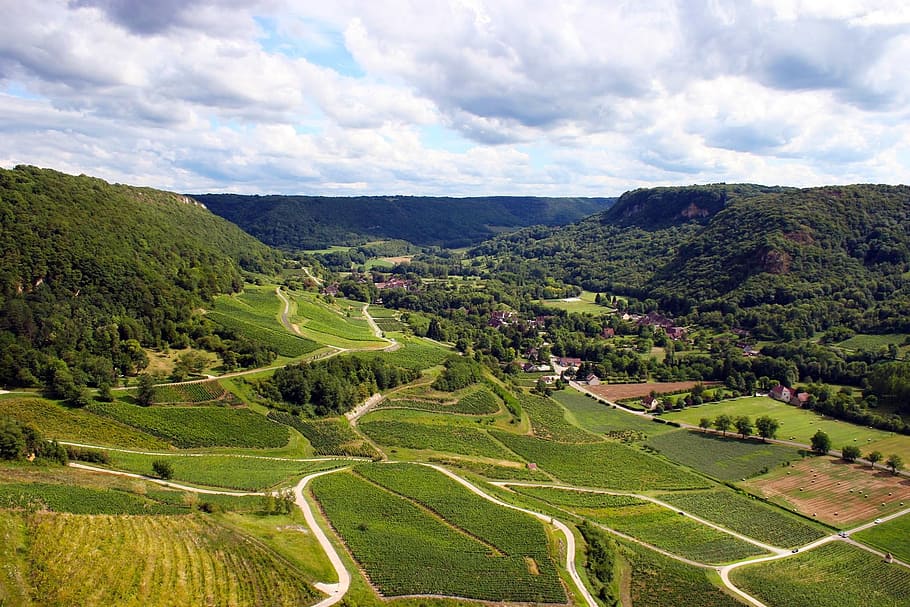 Jura wine tour