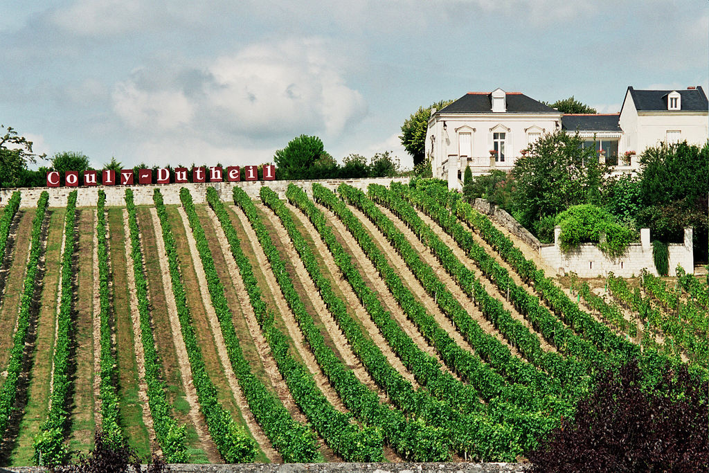 Loire Valley wine tour