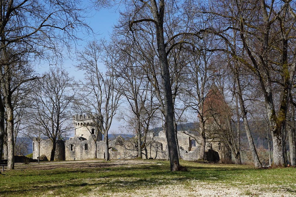 Parc de la Colline du Château (Castle Hill Park) guide