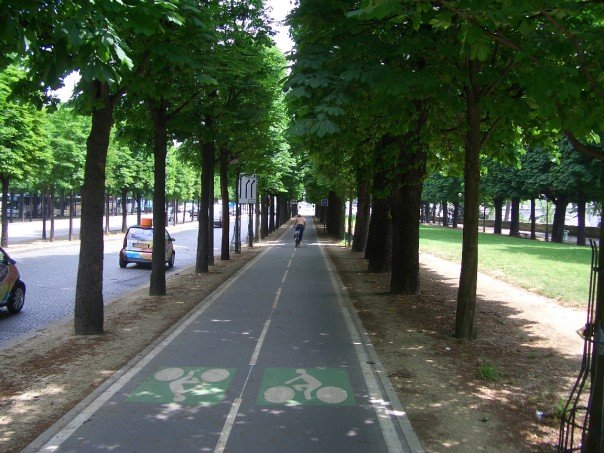 Paris Bike Lane