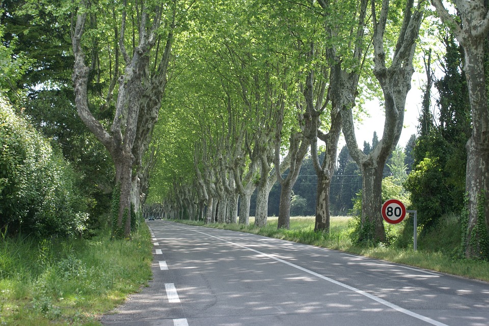 French Roadtrips
