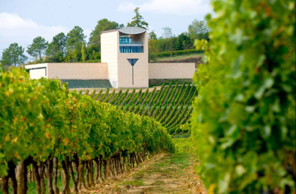 Things To Do In Bordeaux Wine Tour