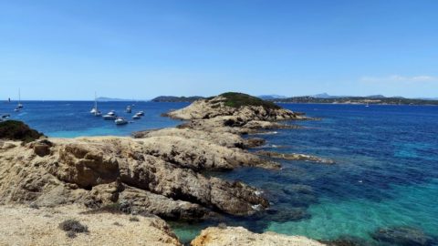 Best Scuba Diving Spots In The South Of France