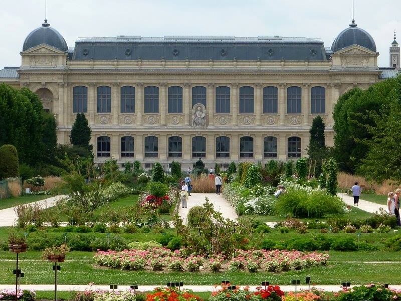 Jardin des Plantes In Paris