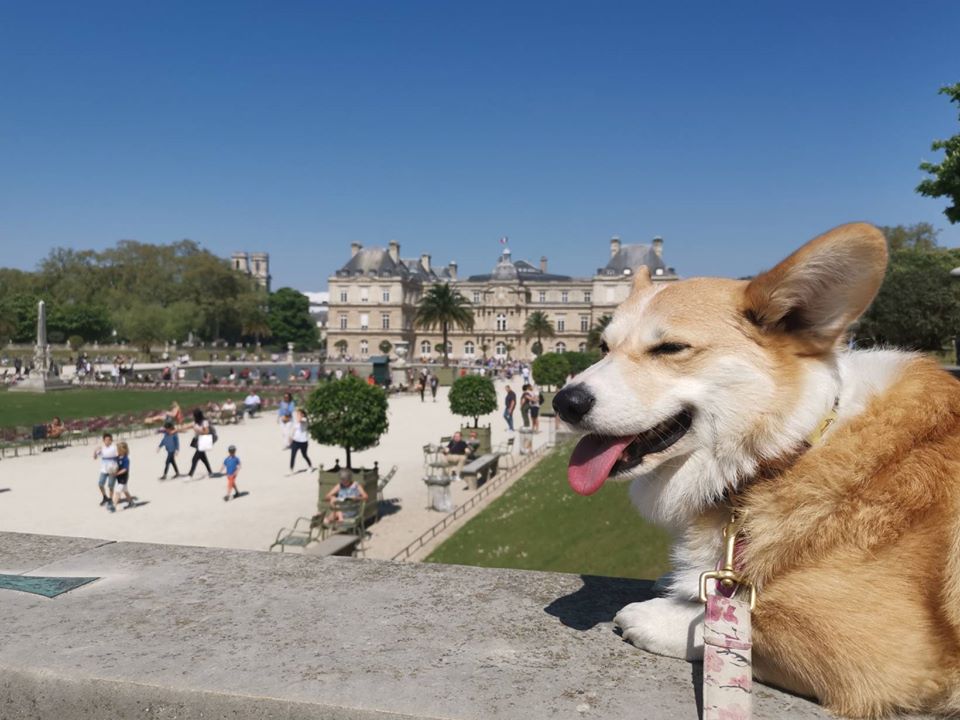 Luxembourg Gardens Paris Things to do with your dog