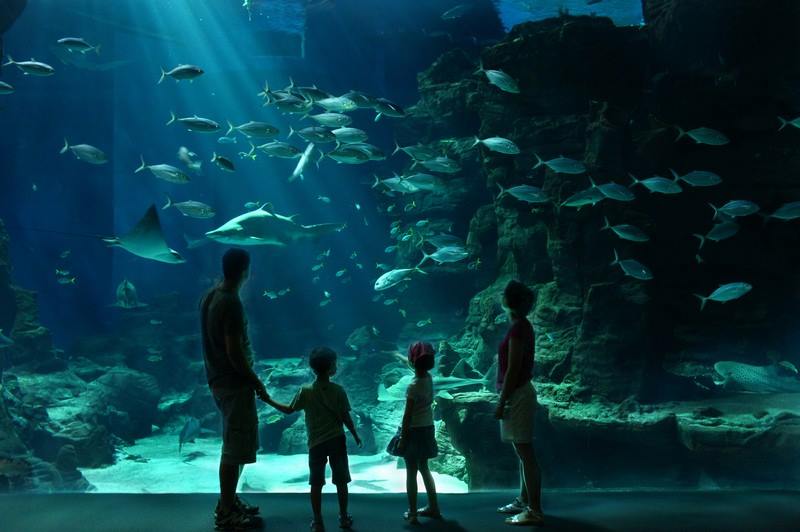 Aquarium Mare Nostrum In Montpellier France