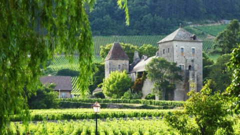 Burgundy Travel Guide