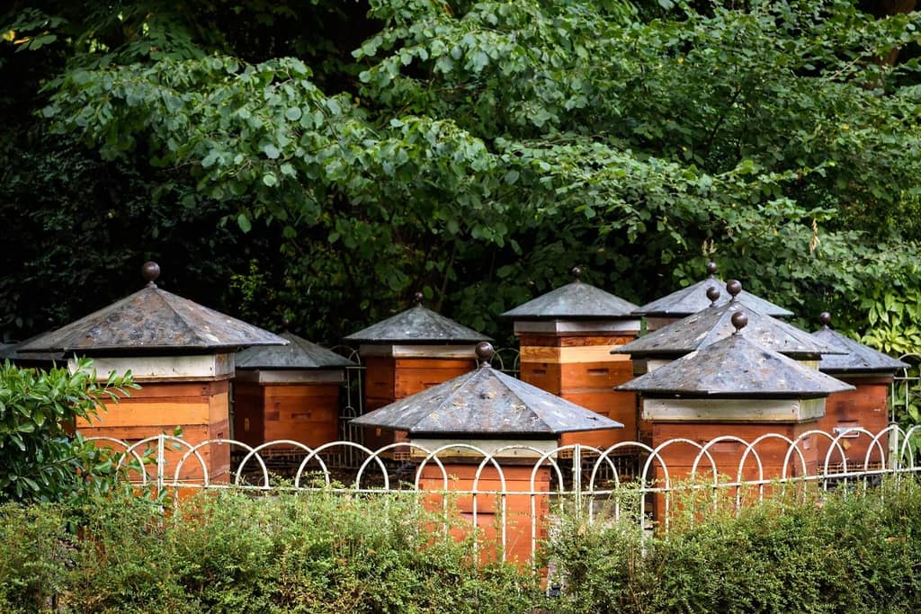 Luxembourg Garden Bees Hidden Spot
