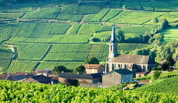 burgundy travel blog 2020