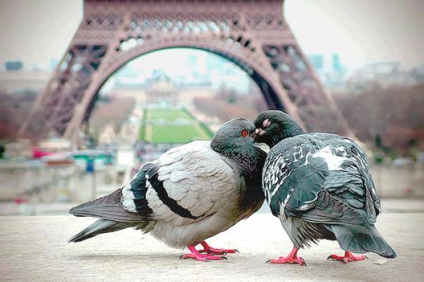 How To Meet People In Paris