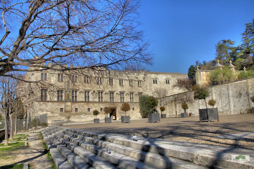 Place du petit Palais à Avignon