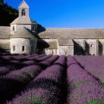 Top 10 Things To Do In Provence