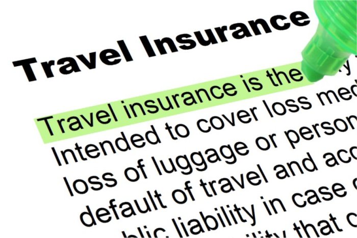 Understanding The Basics Of International Travel Insurance