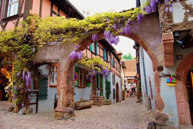 Honeymoon in Riquewihr