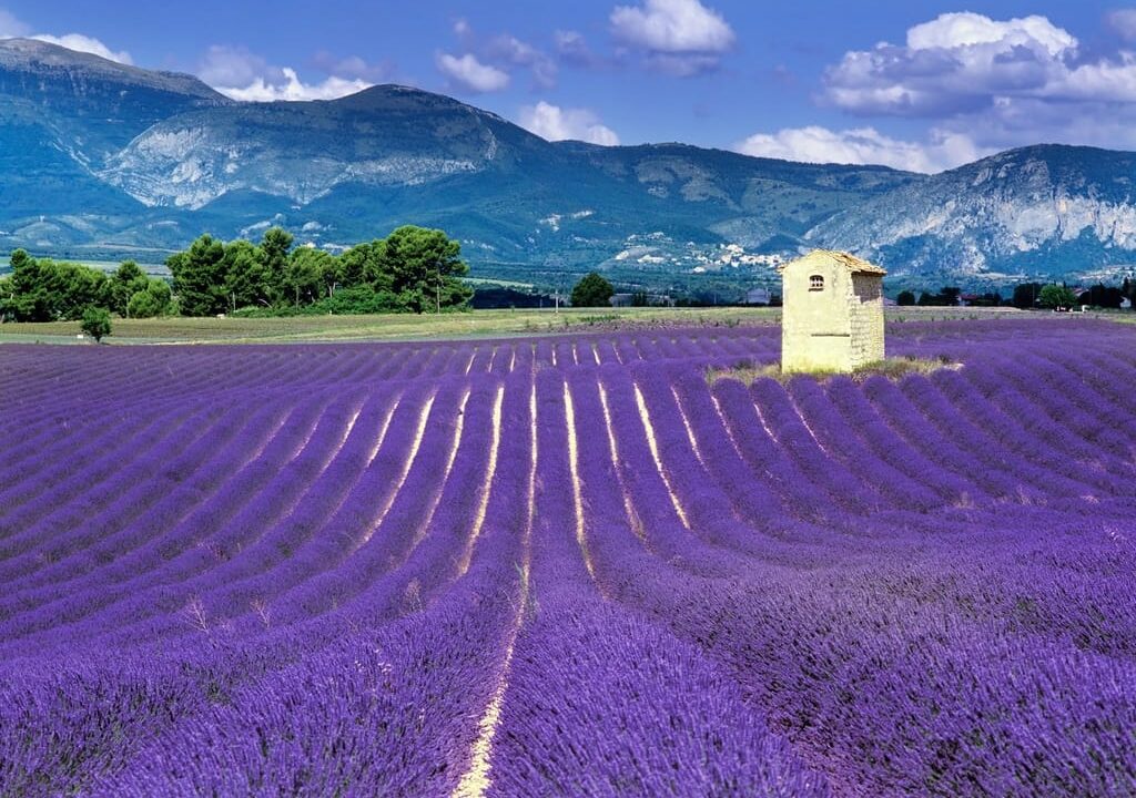 Is Provence Expensive?