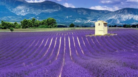 Is Provence Expensive?