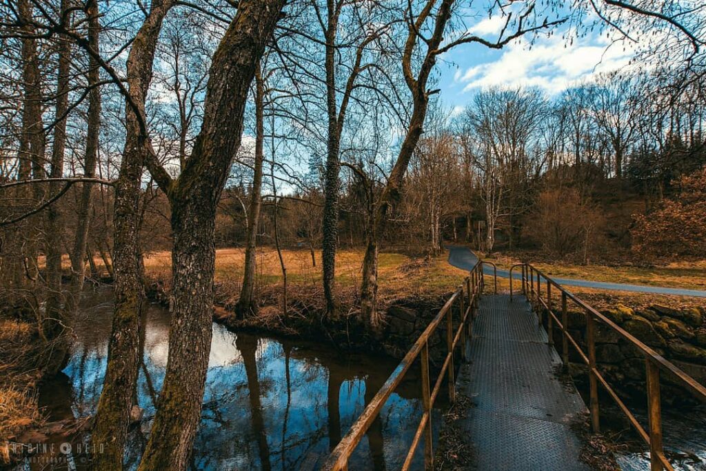 Vosges Natural Park