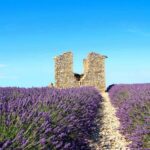 What is Provence Known For?