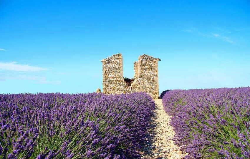 What is Provence Known For?
