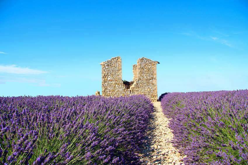 What is Provence Known For? - France Travel Blog