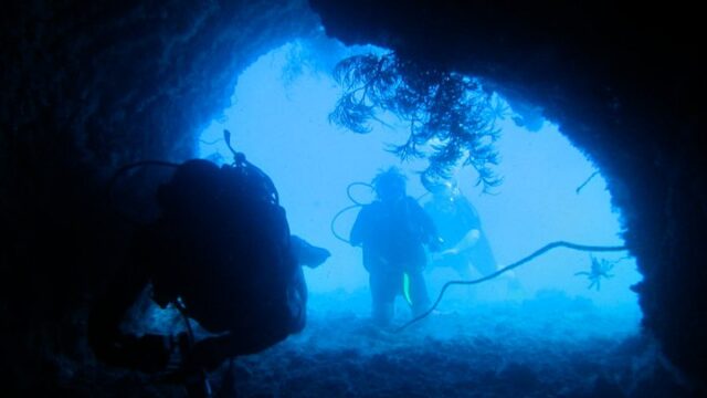 What You Need to Know Before Scuba Diving in France