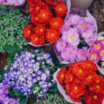 Must-Experience: 3 Fabulous Flower Festivals in France